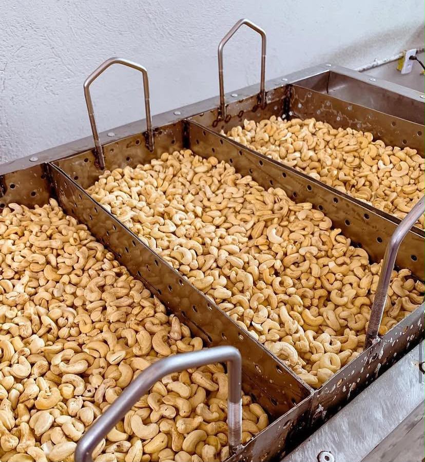 Produção de castanhas